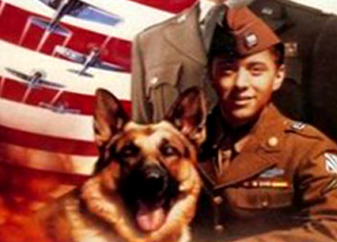Hund som hjälpt till i krig